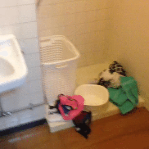 【おふざけVINE】ホントこいつらってビッチだよなwwお風呂の様子も全世界に公開するおふざけエロVINE その2