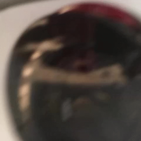 【おふざけVINE】ホントこいつらってビッチだよなwwお風呂の様子も全世界に公開するおふざけエロVINE その3