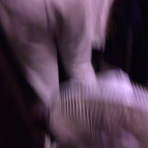 【おふざけVINE】本物のアホや…生尻や乳首まで！おふざけVINEなんて晒すからGIF画像にされて永遠にオナネタにされるリア充女子！ その6